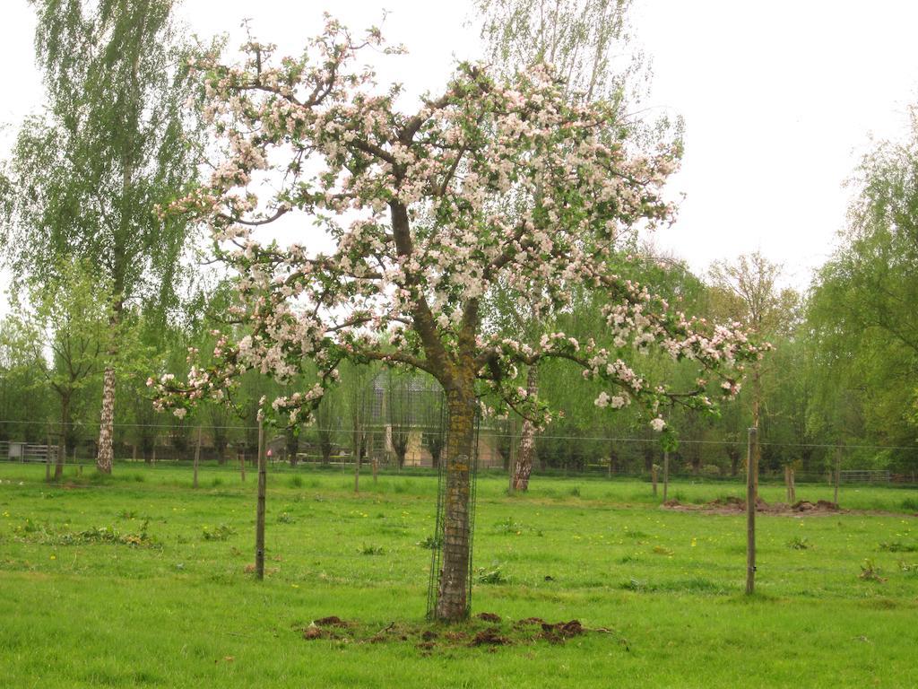 Bed And Breakfast Klein Groenbergen Leersum ภายนอก รูปภาพ